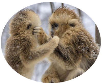 ���(hu��)�f(w��n)��